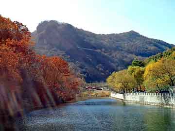 新澳天天开奖资料大全旅游团，天涯社区娱乐八卦